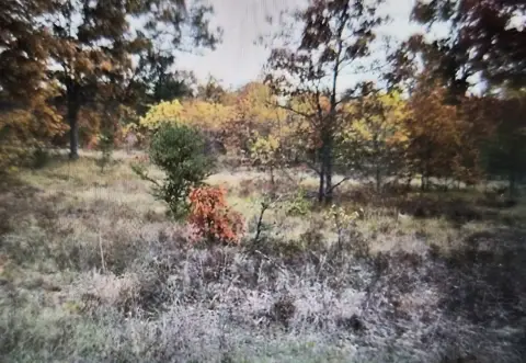 Residential Lots in Northwood Estates