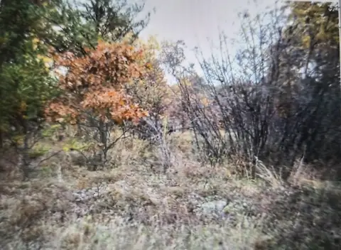 Residential Lots in Northwood Estates