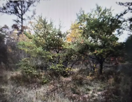 Residential Lots in Northwood Estates