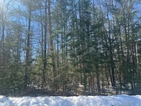 Wooded Lot Near Presque Isle