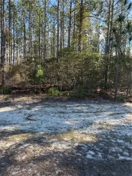 Hortense, GA Residential Lot