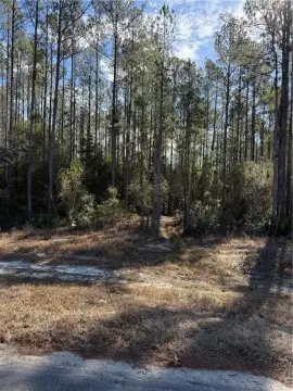 Residential Lot in Hortense, GA