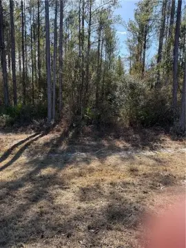 Residential Lot in Hortense, GA