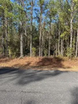 Hortense, GA Residential Homesite