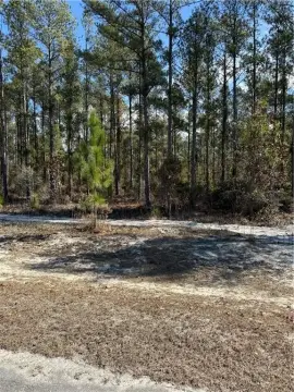 Hortense, GA Residential Homesite