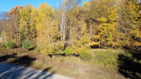 Canadian Lakes Buildable Wooded Lot