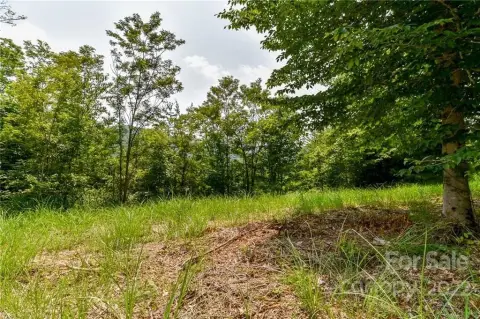 Residential Land in Marshall, NC