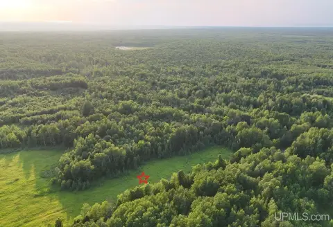 Recreation Land with Mixed Forest