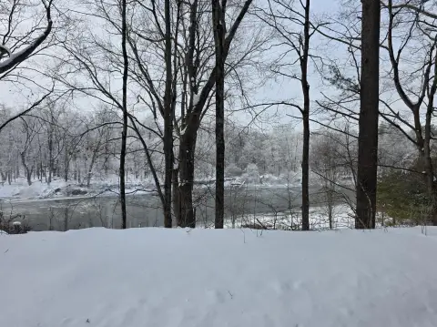 Wooded Land Overlooking Muskegon River