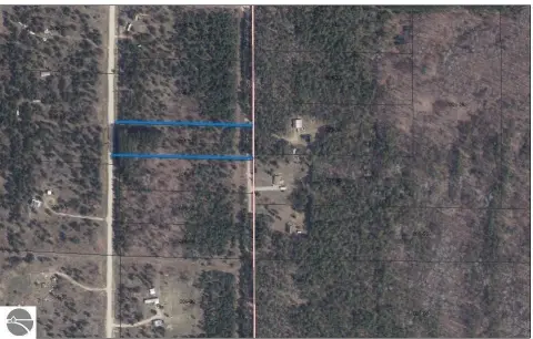 Wooded Land in Elmira, MI