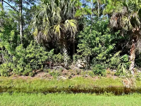 Wooded Lot in Indian River