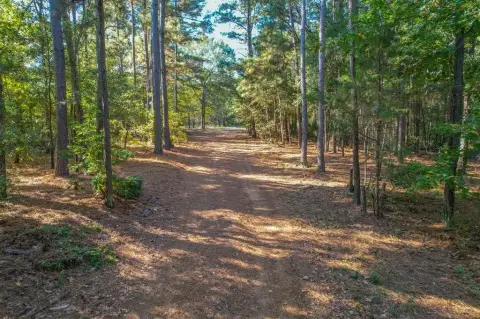 37.5 Acres of Wooded Land