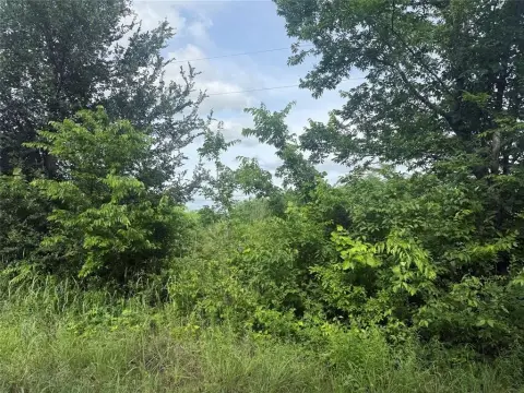 41.5 Acres of Unimproved Land