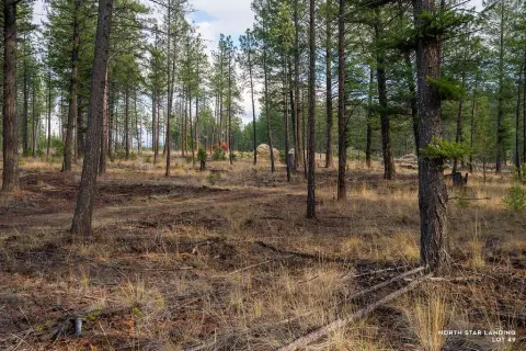 Residential Development Lot