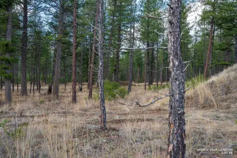 Residential Build Lot