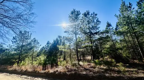 Unrestricted Land in Barnwell, SC