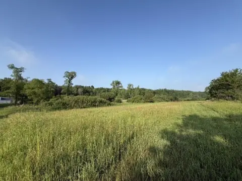 Wooded Hunting Land