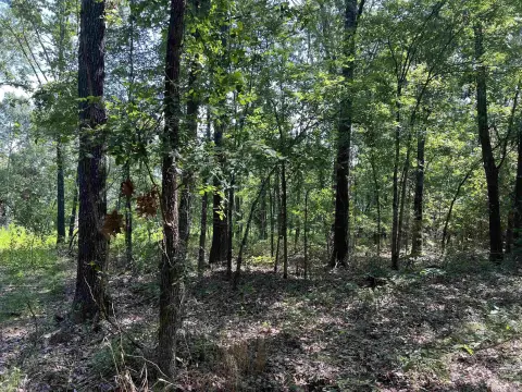 4.71 Acres in Harrison, AR