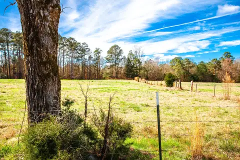 Estate Farmland with Pasture and Pines