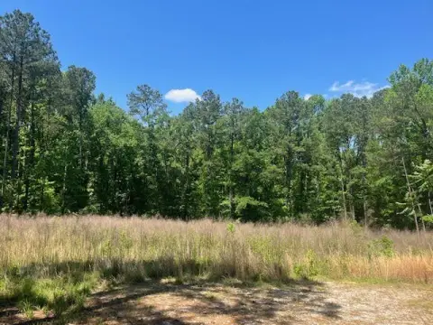 Land Near Elijah Clark Park