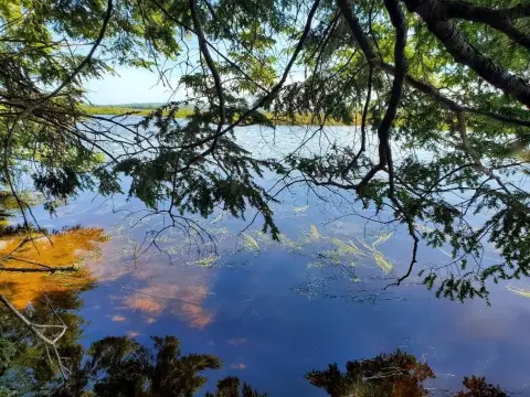 Lakefront Land Parcel