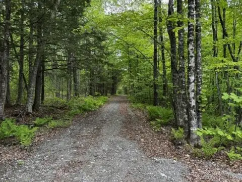 Wooded Recreational Land Parcel