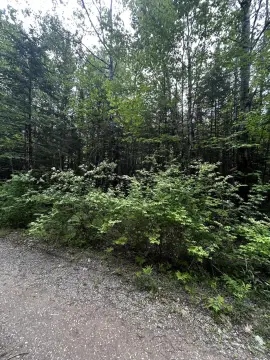 Lakefront Residential Land with Shared Access