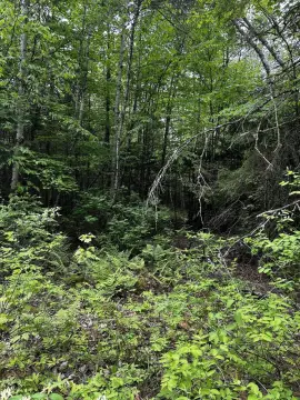 Lakefront Residential Land Lot