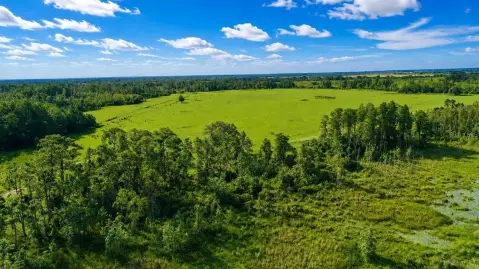 10-Acre Agricultural Land Parcel