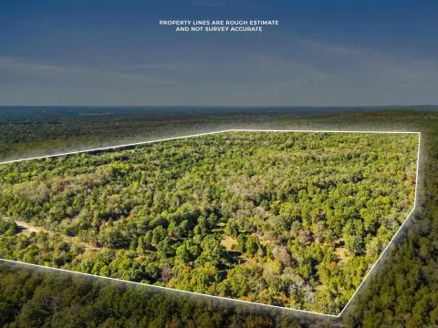 Wooded Hunting Land with Trails