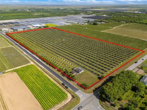 Irrigated Tropical Fruit Grove Land