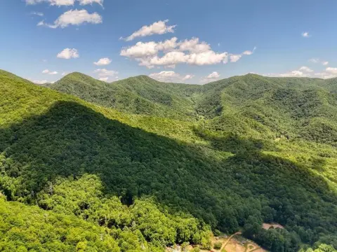 Unrestricted Land Backing National Forest