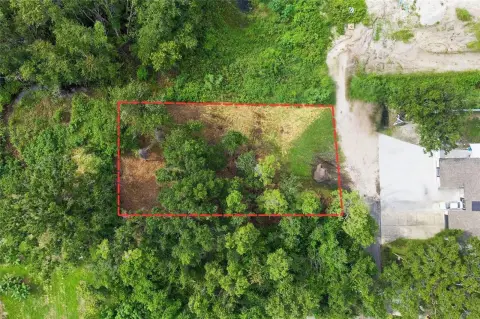 Spacious Lot in Central Tampa