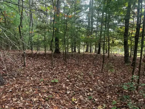 Unrestricted Land Parcel in Murphy