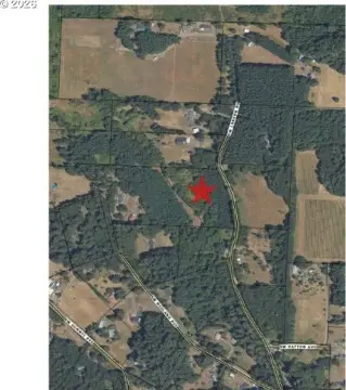 Wooded Recreational Land