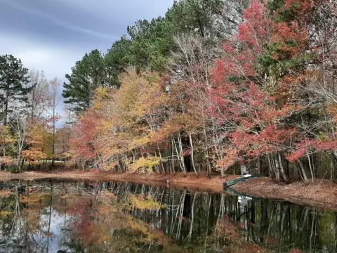 Appling Land with Private Pond