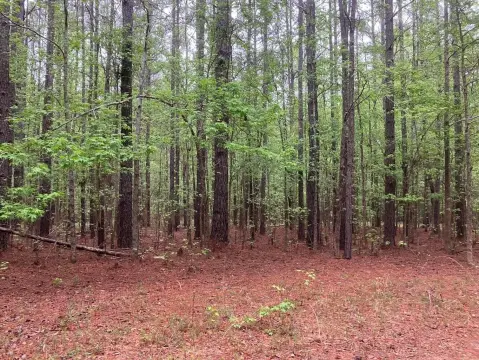 Appling, GA Land Opportunity