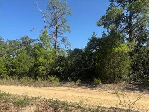 Residential Vacant Home Lot
