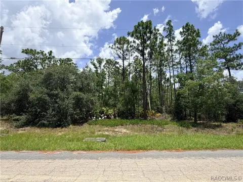 Elevated Equestrian Homesite Land