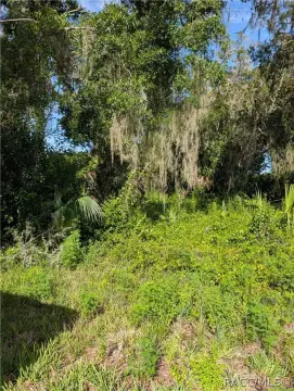 Corner Residential Land Lot