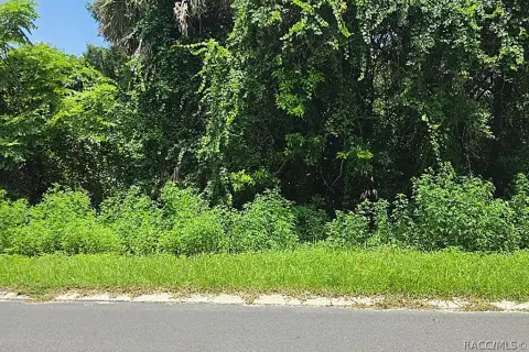 Residential Land Lot