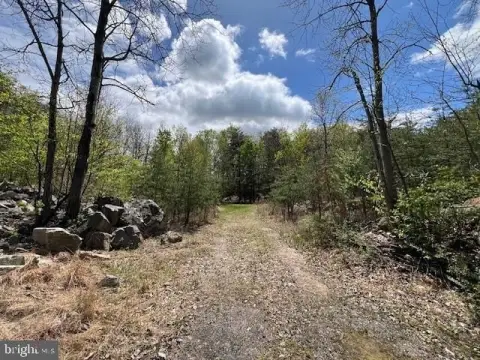 Land in Ruscombmanor Township