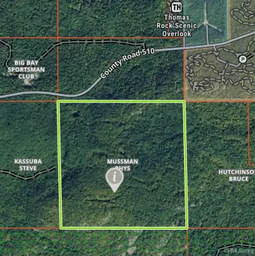 Wooded Recreational Land