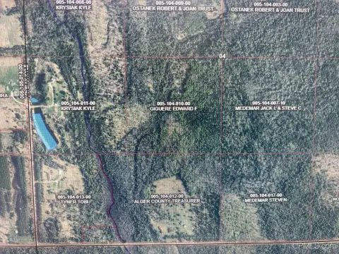 Wooded Hunting Land