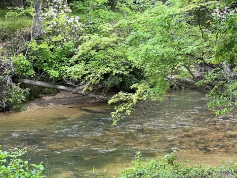 Creekfront Lot in Gated Community