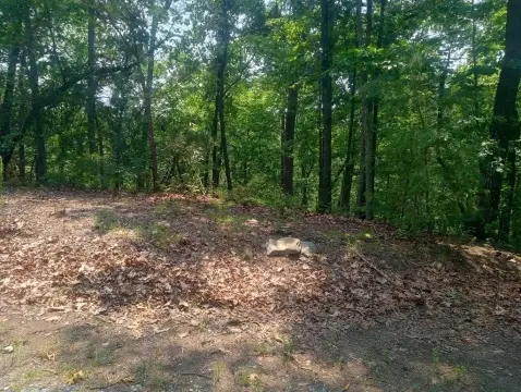 Ranger, GA Vacant Lot