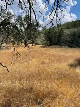 Remote Agricultural Land