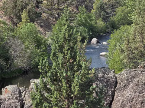 Expansive Agricultural Land Near Paisley, Oregon