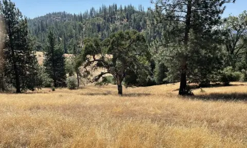 Remote Land with Wells