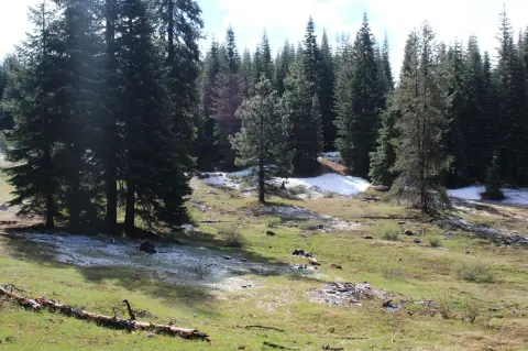 Klamath Falls Vacant Land